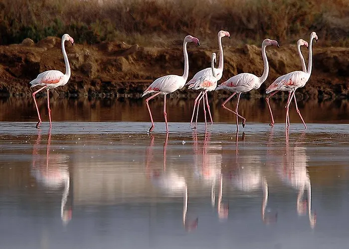 Appartamento Sweet Chill Out Tavira